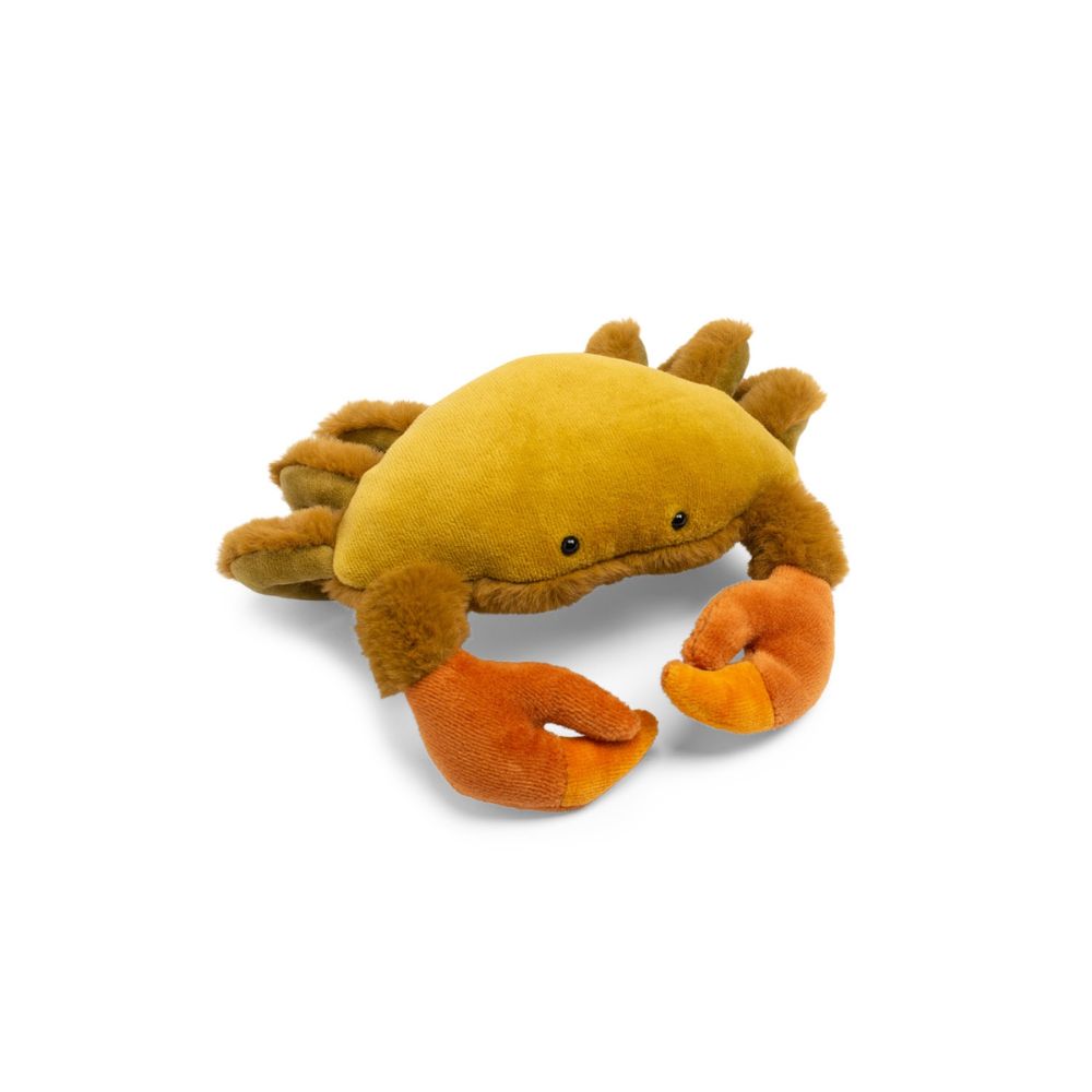 Moulin Roty Small Soft Toy - Colorful Ocean Crab for Newborns
