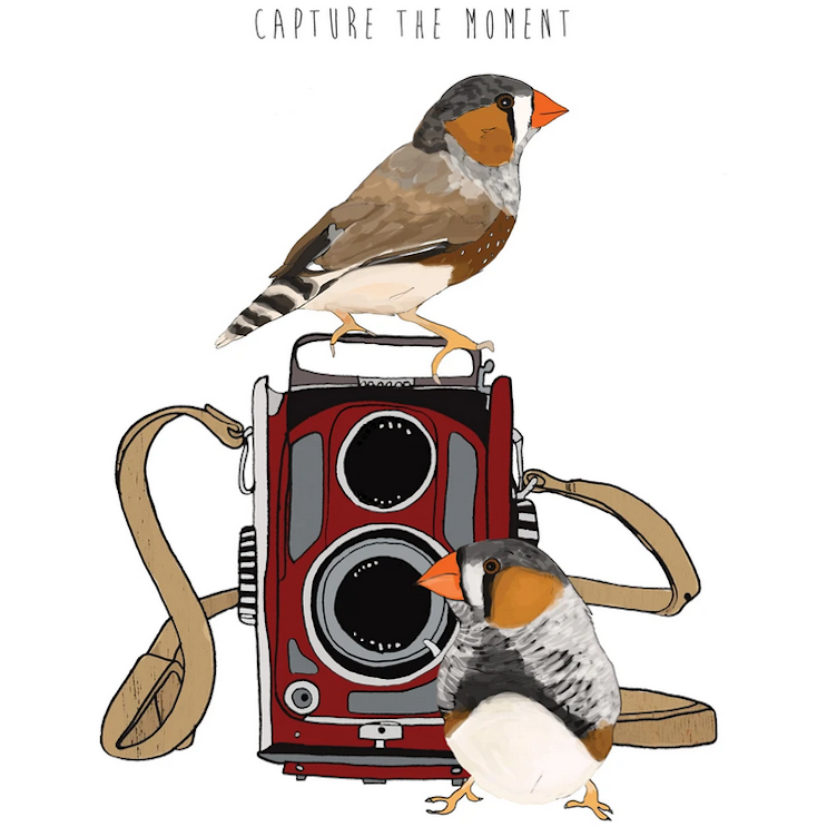 100% Recycled Paper Moment - Capturing Card, 4.25 x 5.5 Inches