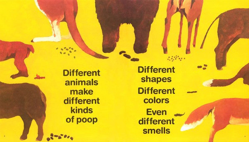 Everyone Poops: A Natural Process Celebration Paperback by Taro Gomi