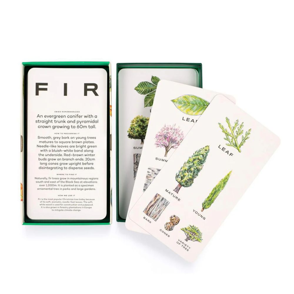 Tree Vision: A Boxed Set of Informative Cards to Identify Different Tree Species