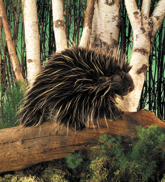 Adorable Hand Puppet - Realistic Porcupine Stuffed Toy