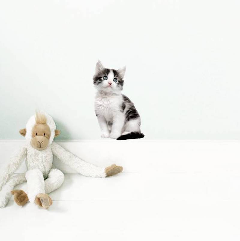 Wall Sticker - Kitten Jack, 14 x 21 cm