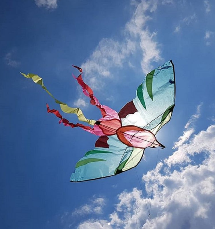 Moulin Roty Today Is Wednesday Majestic Multicolored Bird of Paradise Kite for Flying High in the Sky